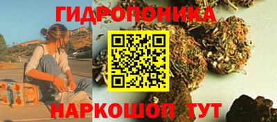 прущие грибы Ярцево