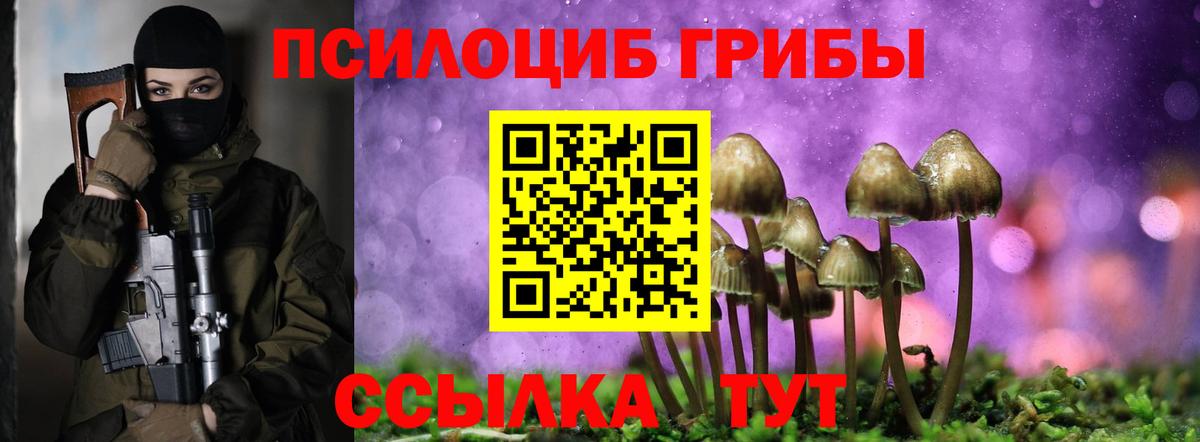 наркотики  Вход с VPN  Ачинск  Псилоцибиновые грибы Psilocybe 